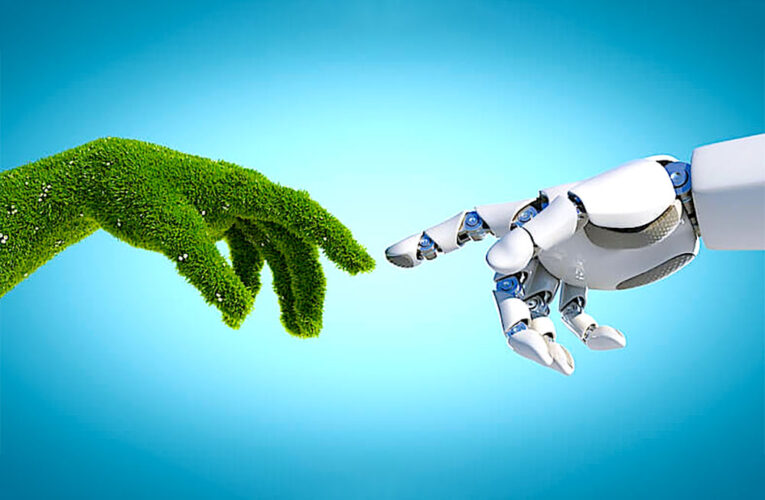 Il “verde” e il “blu”: innovare per diventare sostenibili